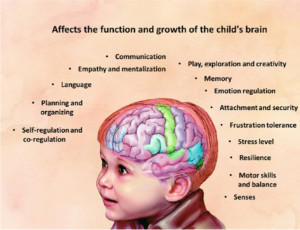 Child Brain